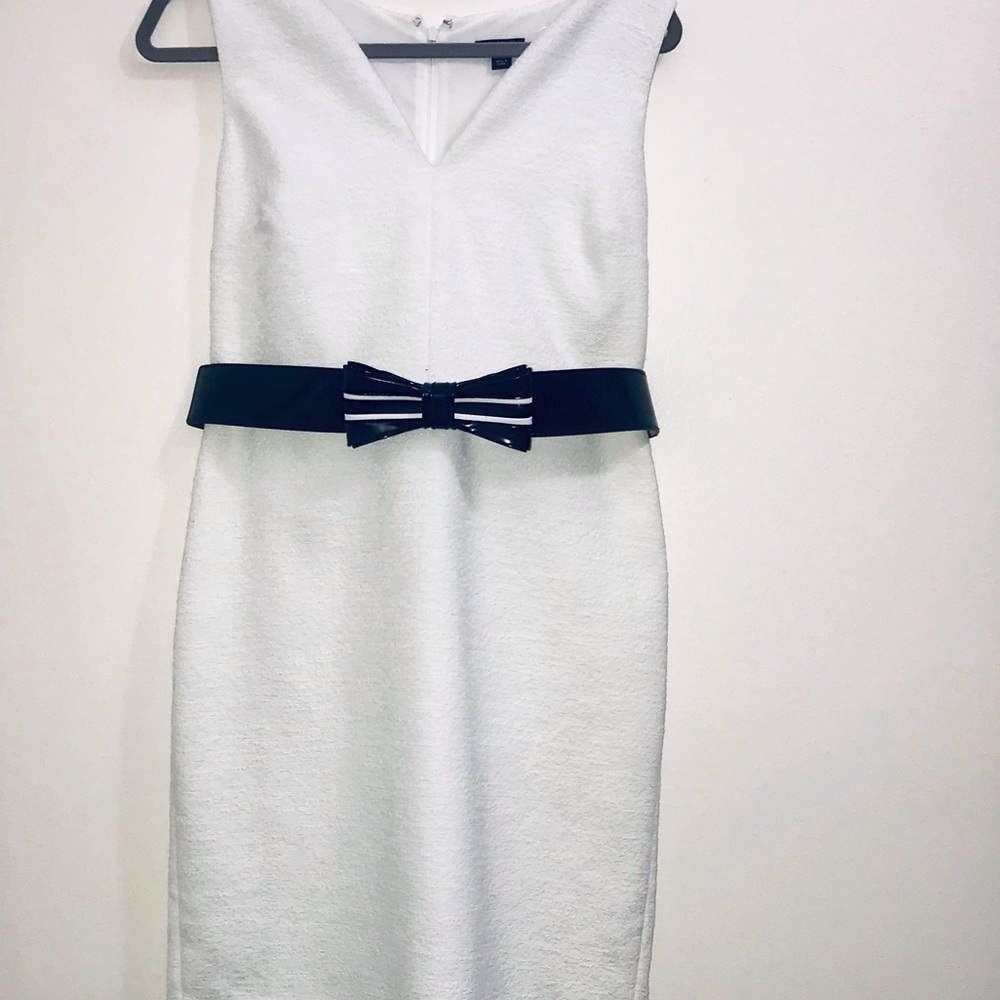 Ann Taylor elegant  Pencil skirt dress
